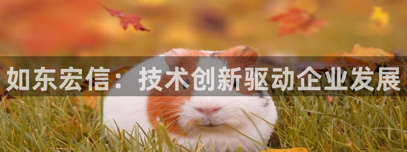 万事屋电玩娱乐上班